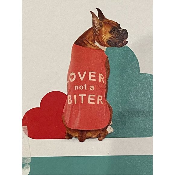 Boots & Barkley lover, not a fighter, dog shirt, size M - Picture 3 of 9